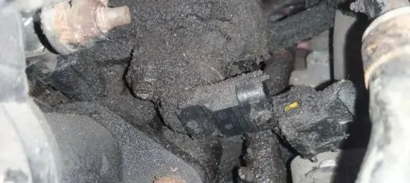 KIA Ceed Camshaft position sensor 393502B010