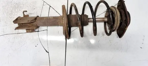 Fiat Bravo - Brava Front shock absorber/damper