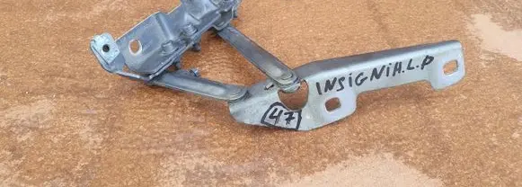 Opel Insignia A Engine bonnet/hood hinges 12841600
