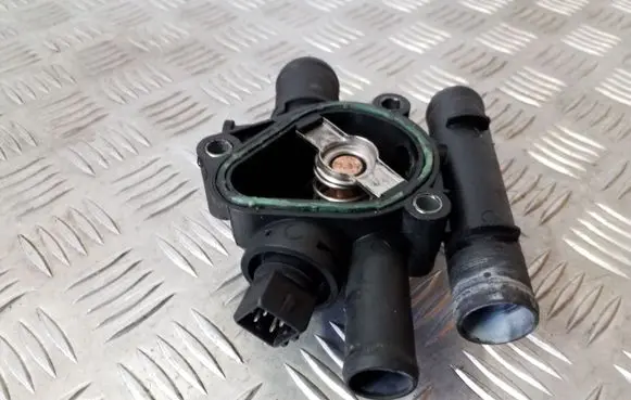 Thermostat/thermostat housing