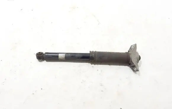 Renault Austral Rear shock absorber/damper 562104234R