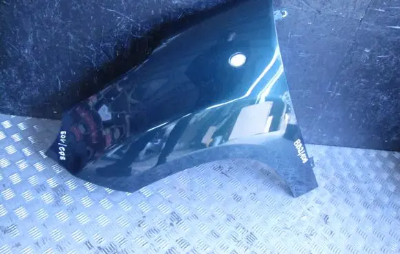Fiat 500L Fender
