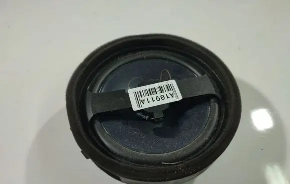 Peugeot 4007 Front door speaker 411972