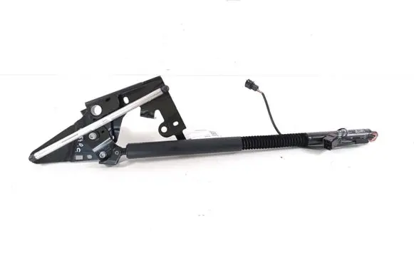 Tailgate strut