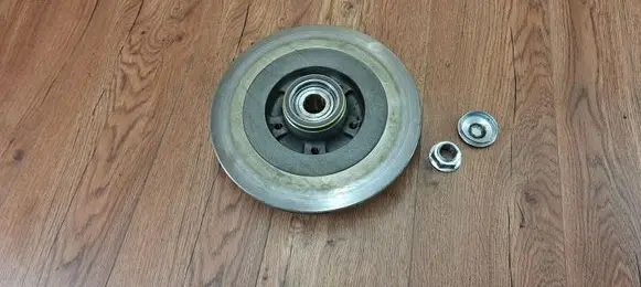 Renault Laguna III Rear brake disc 432022434R