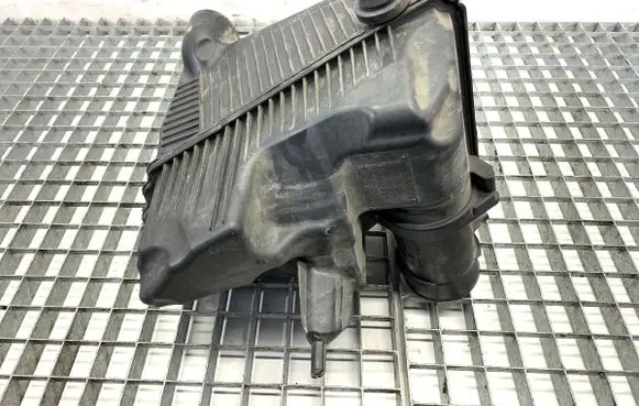 Renault Kangoo II Air filter box 165003318R