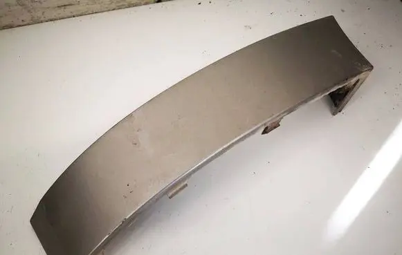 Rear/tail light trim molding