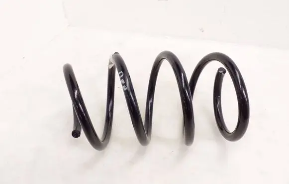 Front coil spring