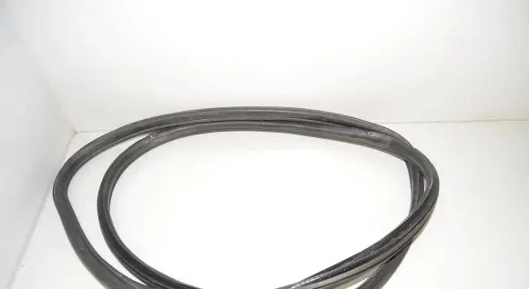 Rear door rubber seal (on body)