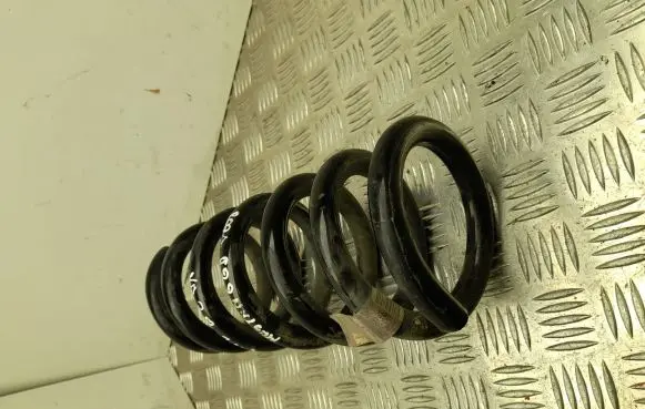 Ford Mustang VI Rear coil spring FR3C5560HA