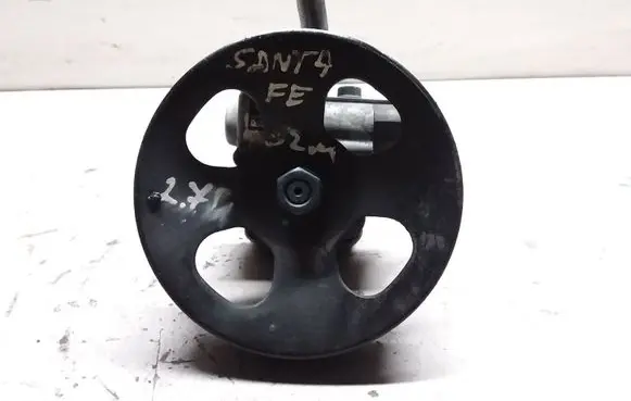 Hyundai Santa Fe Power steering pump