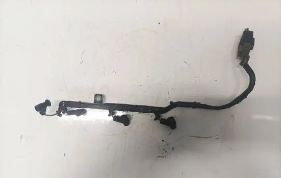 Ford C-MAX II Ignition plug leads 