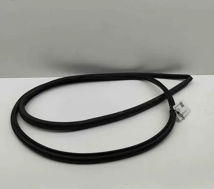 Toyota Hilux (AN120, AN130) Rubber seal front door (on door) 623110K141