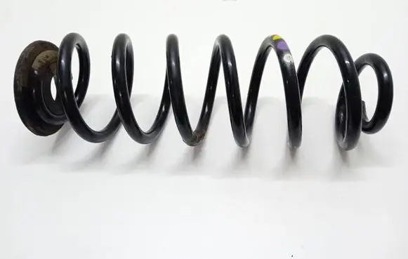 Volkswagen PASSAT B7 Rear coil spring