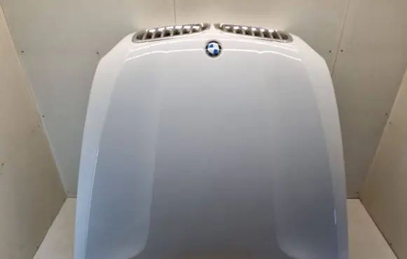 BMW X6 E71 Engine bonnet/hood 6917364 96L169