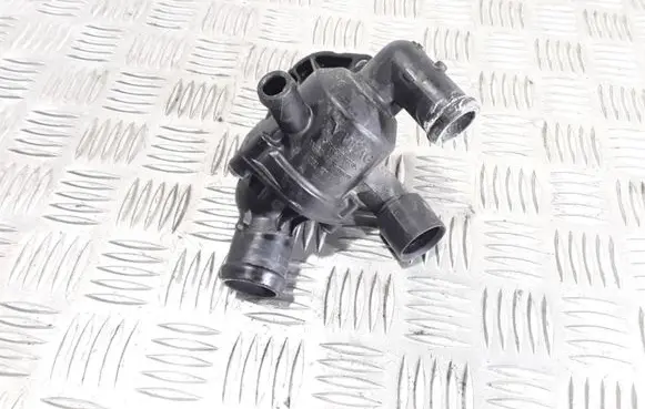 Thermostat/thermostat housing