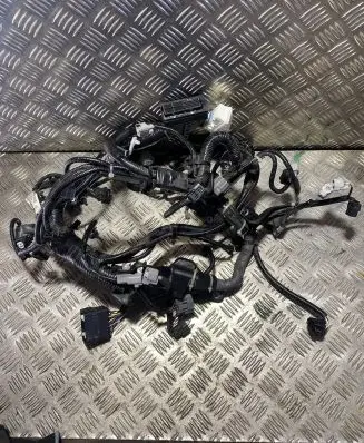 Engine installation wiring loom