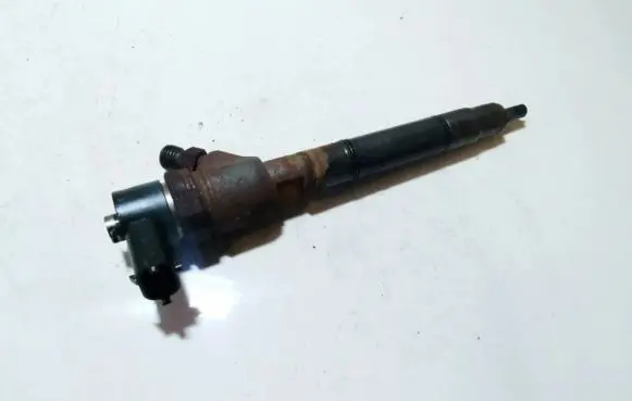Hyundai i30 Fuel injector 0445110320 338002a900