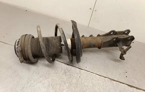 Opel Insignia B Front shock absorber with coil spring 