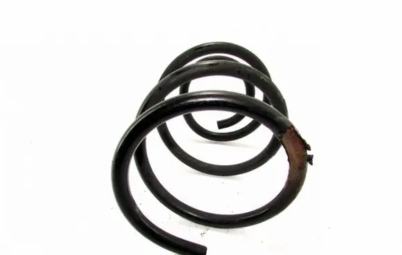 Front coil spring