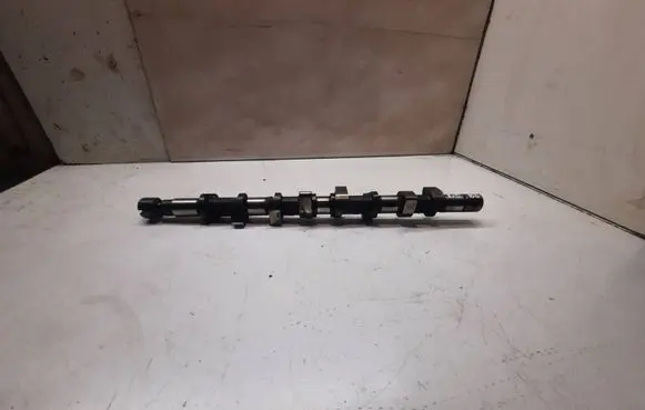 Renault Megane II Camshaft FW555F2