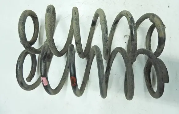 Rear coil spring