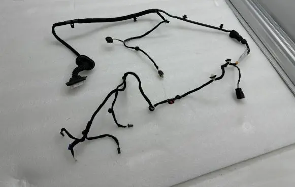 Rear door wiring loom