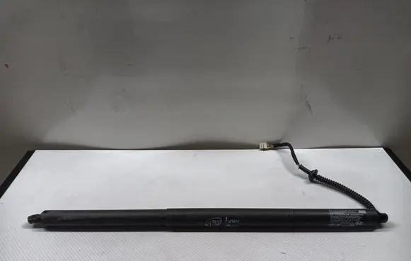Hyundai Ioniq 5 Tailgate strut 81841-NL100