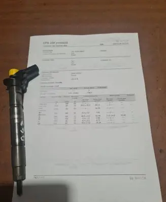 KIA Carnival Fuel injector 0445116018 33800X2F000 091206