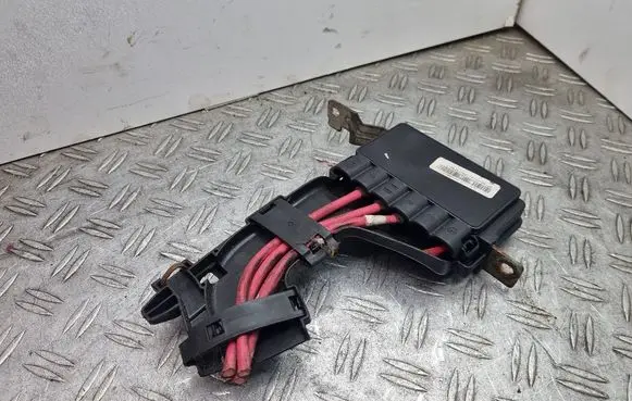 Renault Scenic III - Grand scenic III Positive wiring loom 243170003R 03088801