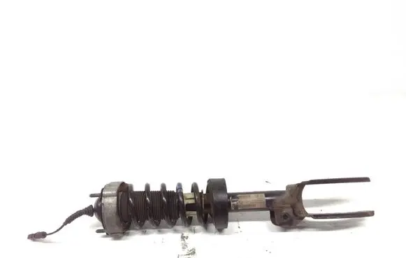 Porsche Cayenne (92A) Front shock absorber with coil spring
