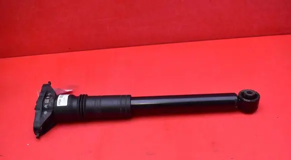 Opel Mokka Rear shock absorber/damper 98426920800