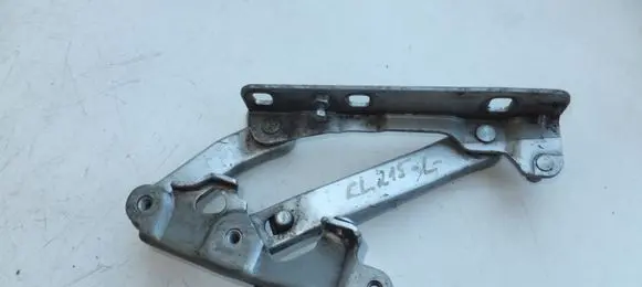 Mercedes-Benz CL C215 Engine bonnet/hood hinges 2208800128
