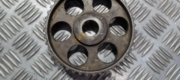 Volkswagen PASSAT B5 Camshaft pulley/ VANOS 069109111