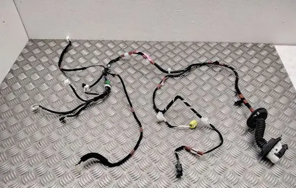 Lexus RX 450H Front door wiring loom 821520E300