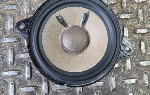 Panel speaker