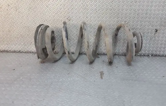 Rear coil spring