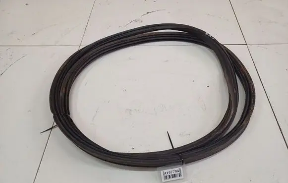 Trunk rubber seal (body)