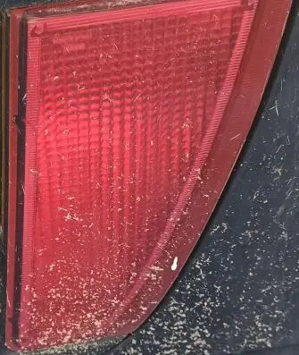 Nissan Primera Rear fog light melyna