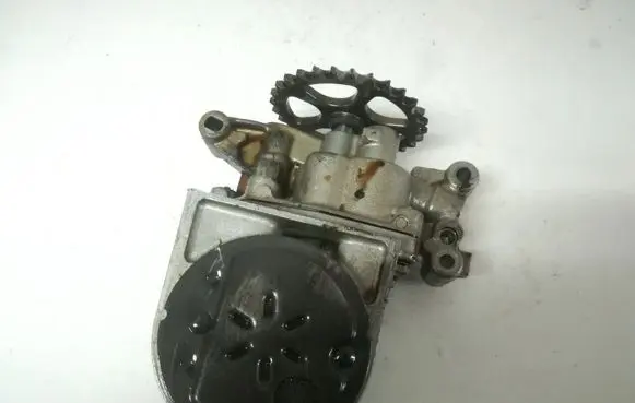 Peugeot 206 Oil pump 9431102021