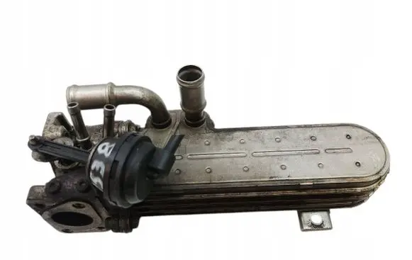 Volkswagen Golf V EGR valve cooler
