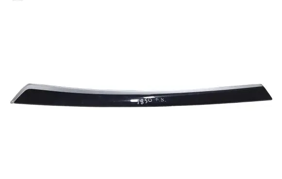 Other front door trim element