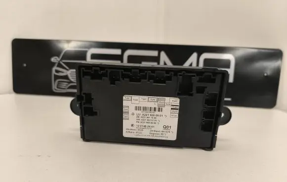 Mercedes-Benz S W221 Door control unit/module A2219000901 A2219030500 1001482501