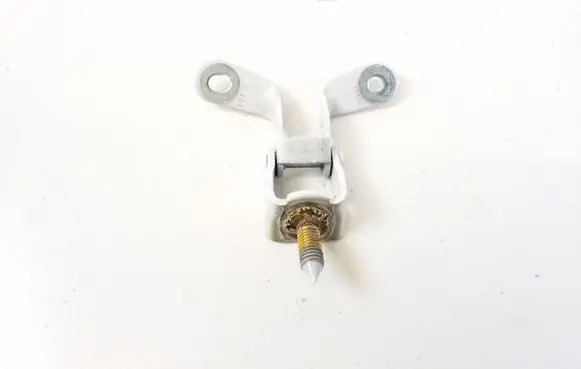 Tailgate/trunk/boot hinge