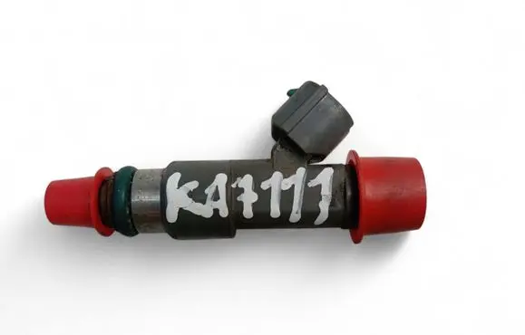 Nissan Titan Fuel injector 041052214