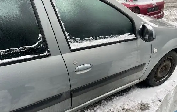Dacia Logan I Front door 