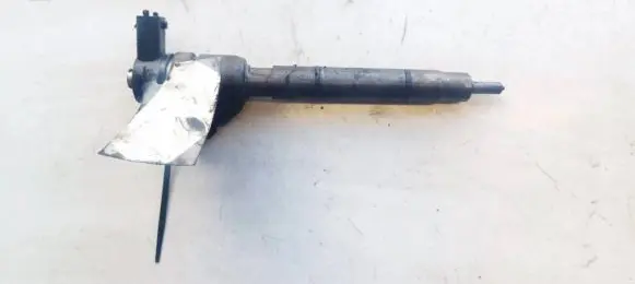 Hyundai i30 Fuel injector 0445110256 338002A400