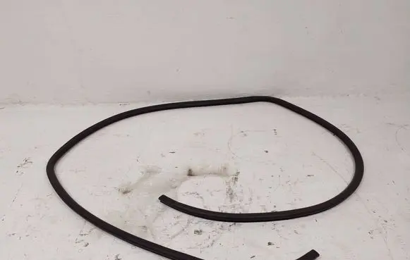 Lexus RX III Front door rubber seal 