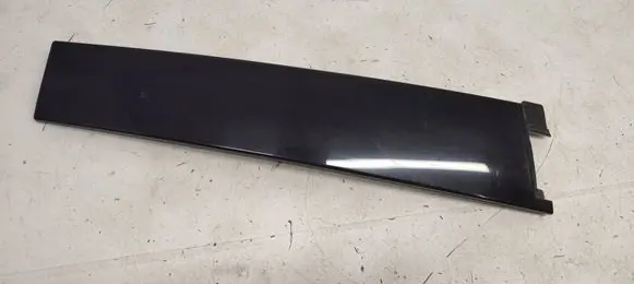 Ford Focus Rear door glass trim molding BM51A254A41