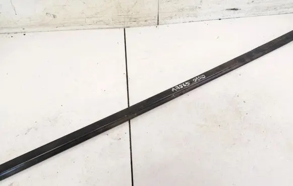 KIA Carens I Rear door glass trim molding